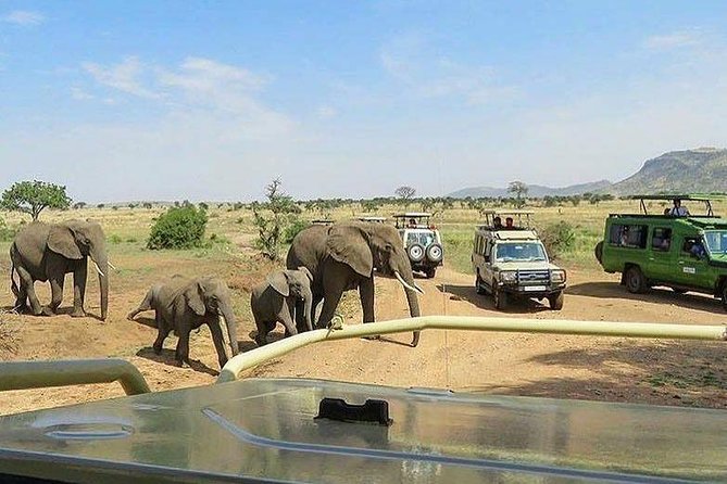 3 Days Tarangire, Ngorongoro Craeter & Lake Manyara - Tour Guide Details