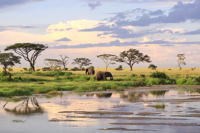 3 Days-Tarangire, Ngorongoro & Lake Manyara: Camping Joint Safari. - Booking Details