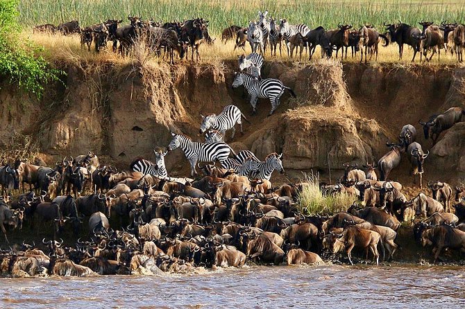 3 Days-Tarangire, Ngorongoro & Lake Manyara: Camping Joint Safari. - The Sum Up