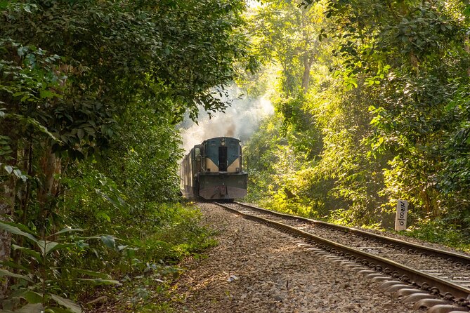 3 Days Teagarden and Rainforest Tour in Sreemangal - Reviews and Recommendations