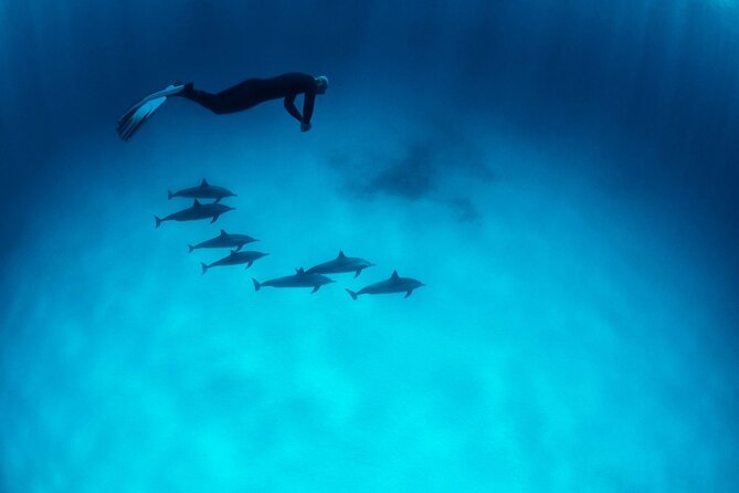 3 Days to Dive PADI Open Water Course Your Underwater Adventure - Inclusions and Exclusions