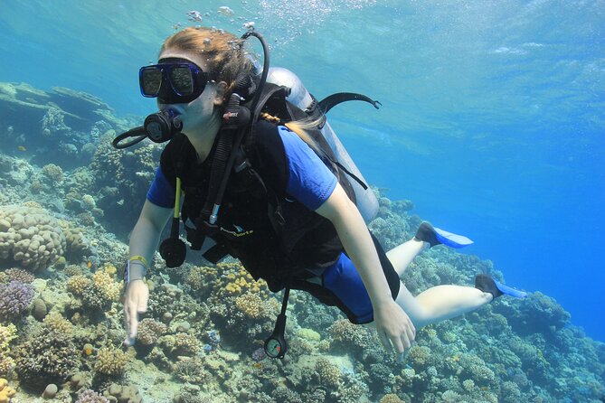 3 Days to Dive PADI Open Water Course Your Underwater Adventure - Dive Schedule