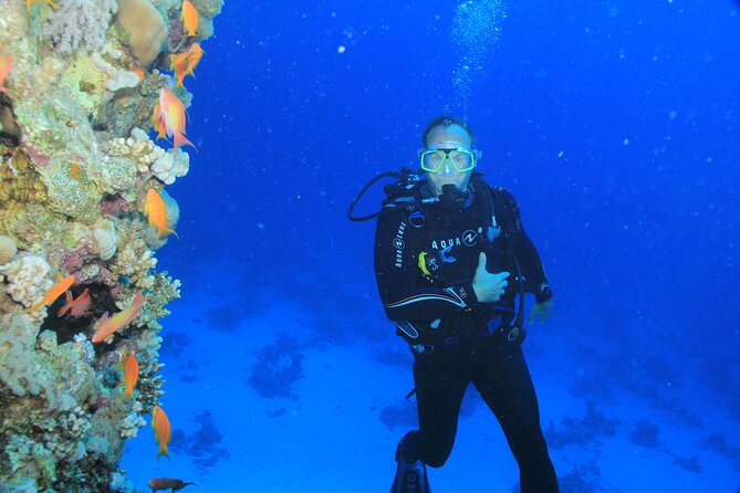 3 Days to Dive PADI Open Water Course Your Underwater Adventure - Equipment Provided