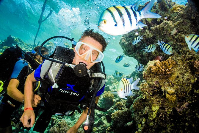 3 Days to Dive PADI Open Water Course Your Underwater Adventure - Safety Measures