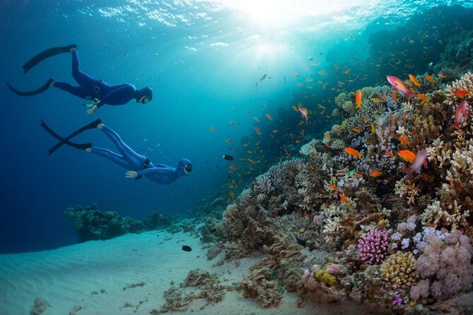 3 Days to Dive PADI Open Water Course Your Underwater Adventure - Price and Cancellation Policy