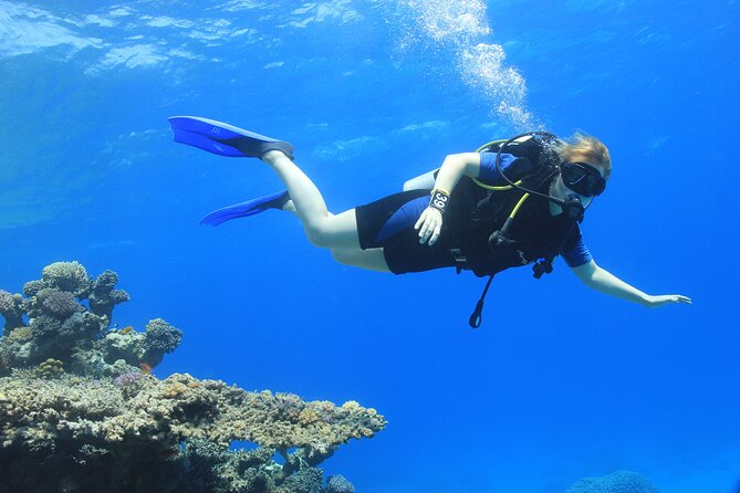 3 Days to Dive PADI Open Water Course Your Underwater Adventure - Additional Information