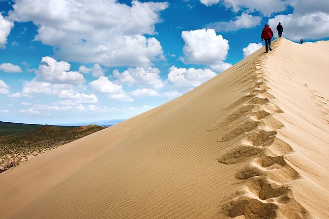 3 Days Tour: Altyn Emel NP, Charyn Canyon, Kaindy & Kolsay Lakes - Discovering Kaindy & Kolsay Lakes