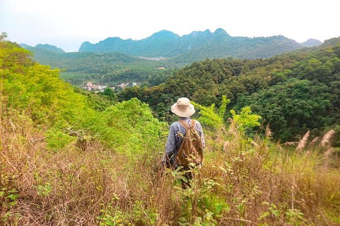3 Days Tour From Cat Ba Town to Cat Ba National Park - Meeting and Logistics