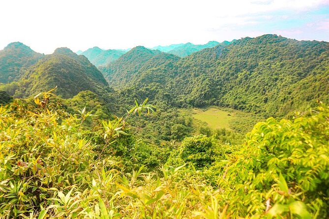 3 Days Tour From Cat Ba Town to Cat Ba National Park - Weather Policy