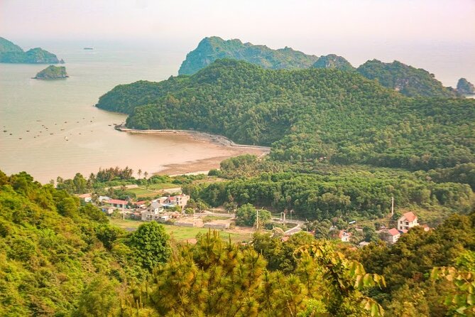 3 Days Tour From Cat Ba Town to Cat Ba National Park - The Sum Up