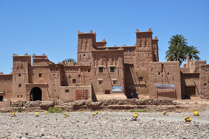 3-Days Tour From Marrakech to Fes via Desert Camel Trek - Reviews and Ratings