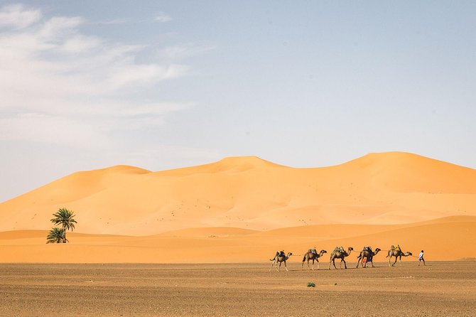 3 Days Tour From Marrakech to Merzouga - Tour Details and Policies