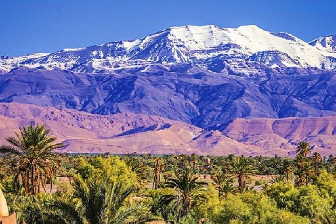 3 Days Tour From Marrakech to Merzouga Desert - The Sum Up