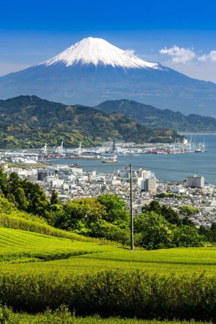 3 Days Tour From Tokyo (1) Mt Fuji (2) Kamakura (3) Nikko - Highlights of Mt. Fuji