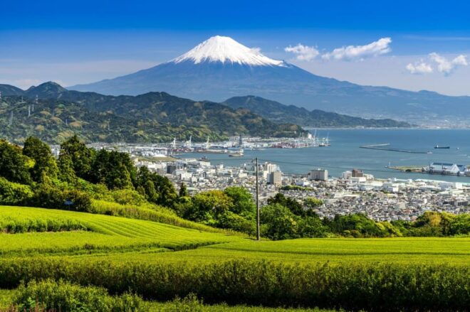 3 Days Tour From Tokyo (1) Mt Fuji (2) Kamakura (3) Nikko - Highlights of Kamakura