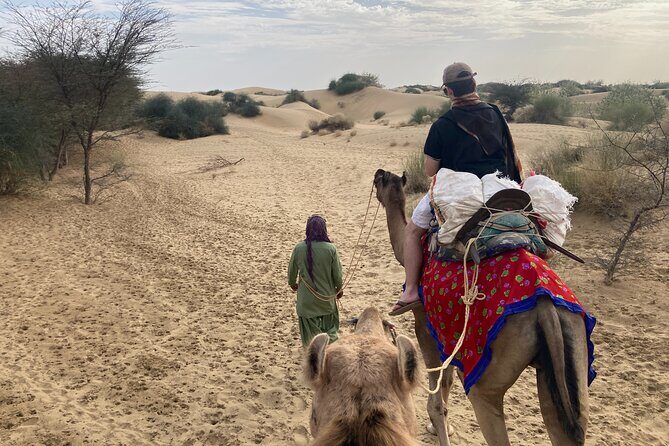 3 Days Tour in Wild Desert Safari - Day 3: Sunrise Rides and Return Journey