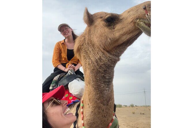 3 Days Tour in Wild Desert Safari - Authentic Experiences and Real Feedback