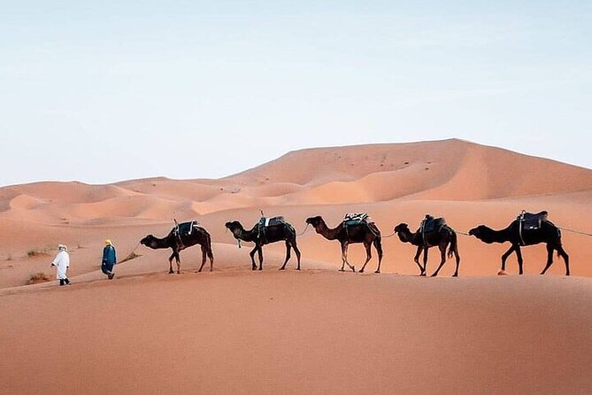3 Days Tour Marrakech to Merzouga - Good To Know
