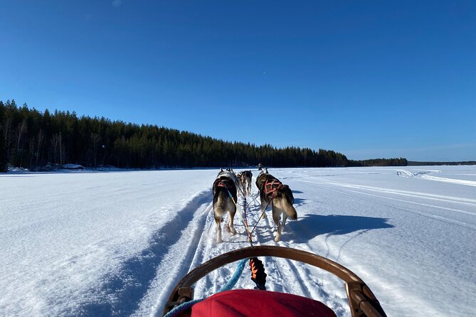 3 Days Tour Rovaniemi in Lapland - Day 1: Arrival and Northern Lights
