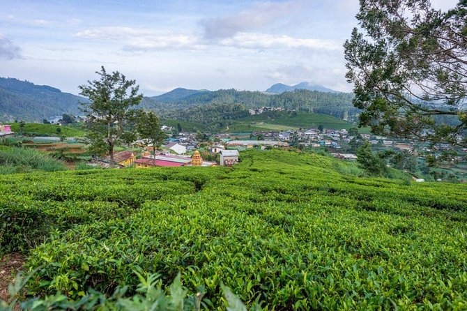 3 Days Tour to Kandy, Nuwara Eliya & Sigiriya - The Sum Up