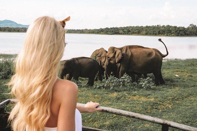 3 Days Tour to Sigiriya & Kandy with Kingfisher Tours Sri Lanka - Exploring the Itinerary in Detail