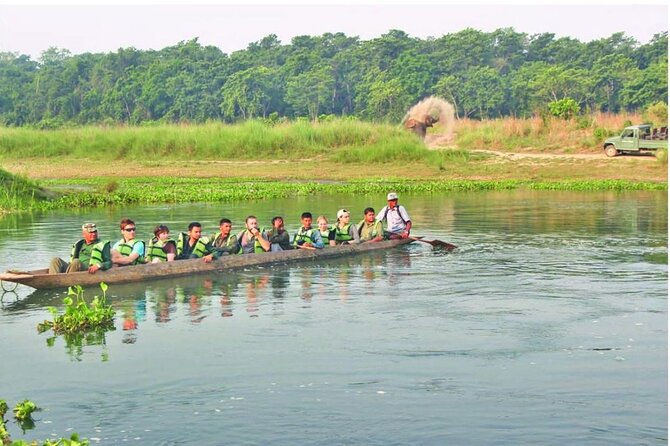3-Days Tower Night Stay Inside Jungle Tour - Itinerary Overview