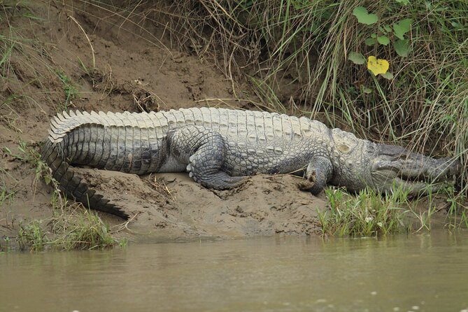 3-Days Tower Night Stay Inside Jungle Tour - Tour Inclusions