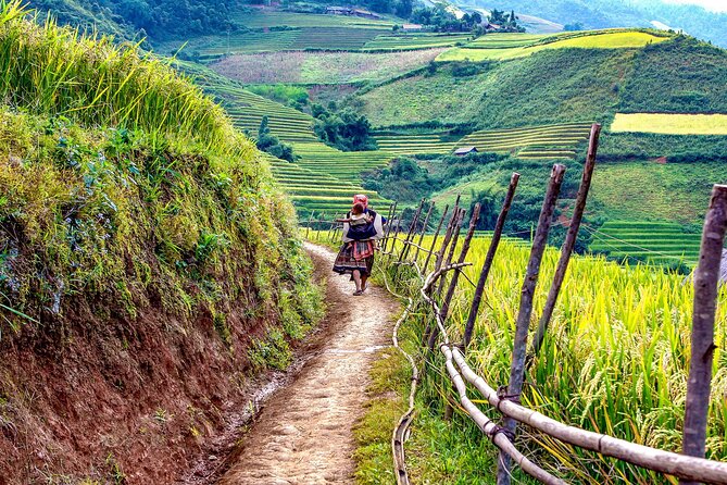 3 Days Trekking Through Hoang Lien National Park - Common Questions