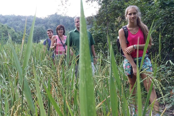3 Days Trekking Tour to Mae Wang Jungle From Chiang Mai - The Sum Up