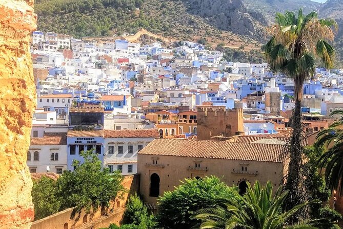 3-Days Trip From Marrakech to Chefchaouen via Imperial Cities - Itinerary Highlights