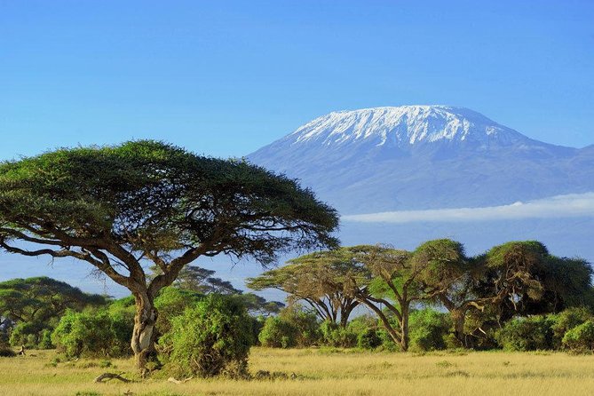3 Days Tsavo West (Ziwani) & Amboseli (Kilimanjaro) Adventure - Good To Know
