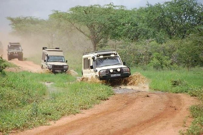 3 Days Tsavo West (Ziwani) & Amboseli (Kilimanjaro) Adventure - Cultural Encounters