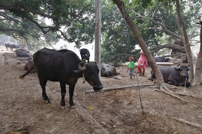 3 Days Varanasi Tour Package - Frequently Asked Questions