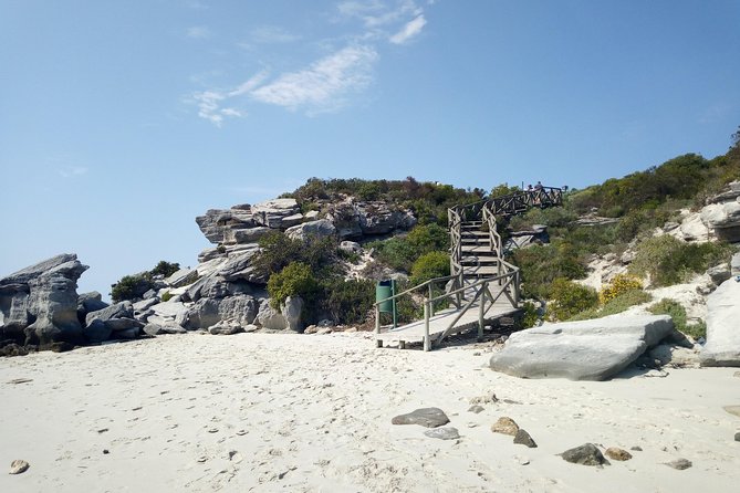 3 Days West Coast & Wine Farm Tour - Activity Options
