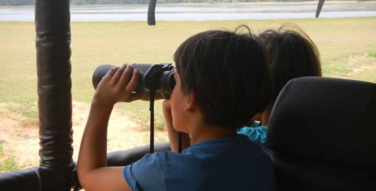 3 Days - Wildlife Expedition in Belihuloya - Wildlife Encounters
