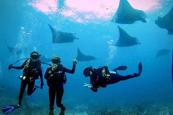 3 Epic Dives in Nusa Penida - Certified Divers Day Trip - Dive Site 1: Crystal Bay
