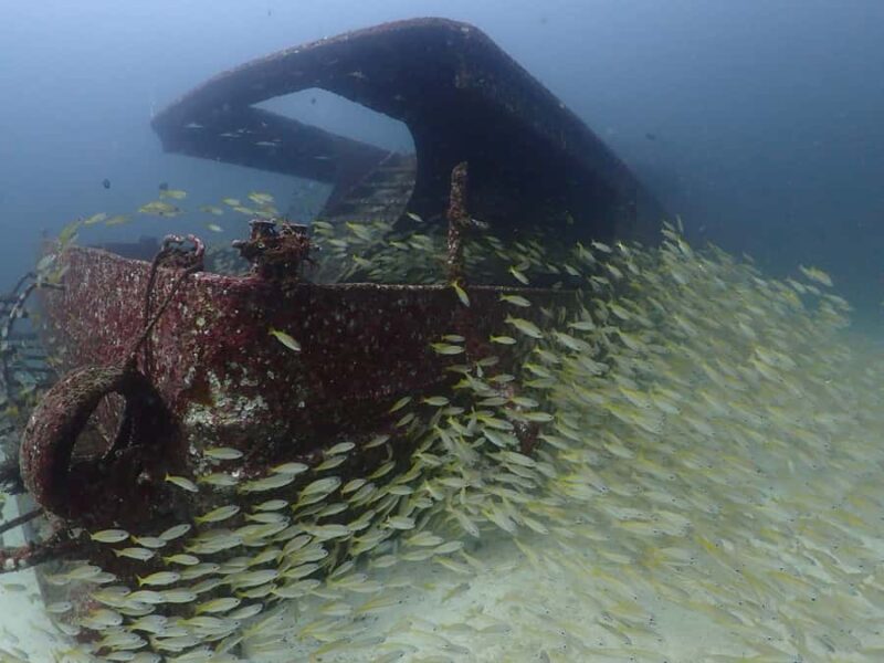 3 Fun Dives for Certified diver at Racha Yai/Noi - Good To Know  