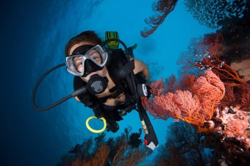 3 Fun Dives for Certified Diver Phi Phi islands &Shark Point - FAQs