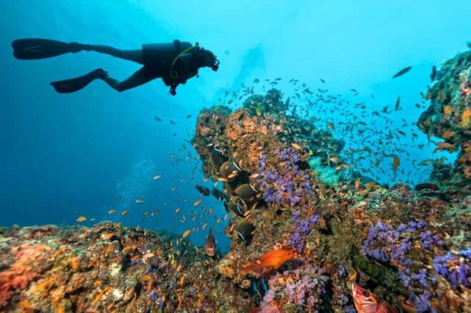 3 Fun Dives for Certified: Phi Phi Islands and Shark Point - Inclusions for Divers