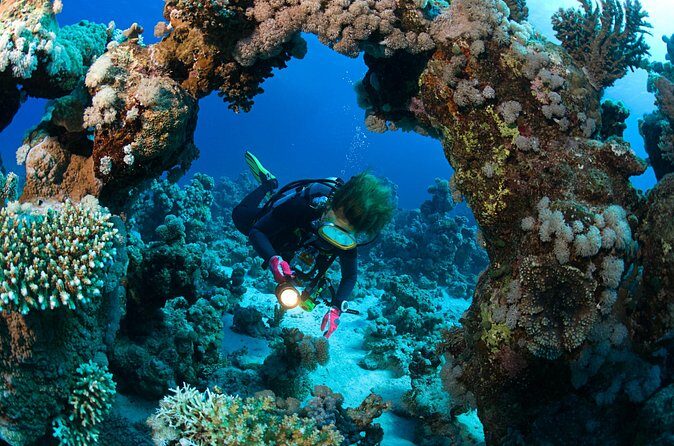 3 Fun Dives in Phi Phi islands for Certified Divers - FAQs
