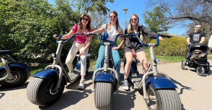 3-H Hamburg E-Scooter Tour - Tour Description
