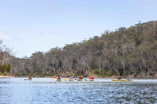 3 Hour Aboriginal Culture Tour With Kayaking in Coraki Drive - The Sum Up
