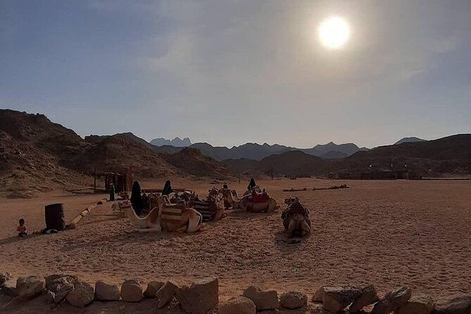 3-Hour ATV Quad Biking, Bedouin Village & Camel Ride in Hurghada - Pricing Information