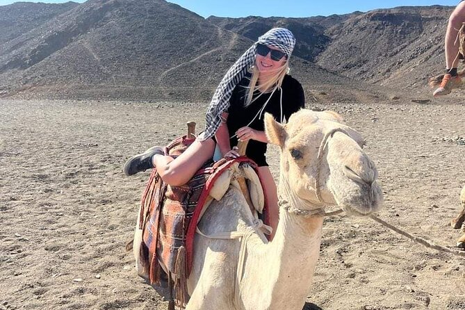 3-Hour ATV Quad Safari and Camel Ride - Marsa Alam - Good To Know