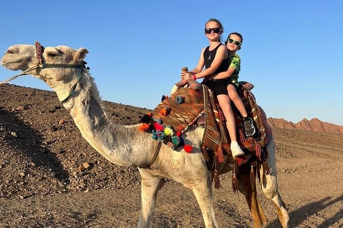 3-Hour ATV Quad Safari and Camel Ride - Marsa Alam - What To Expect