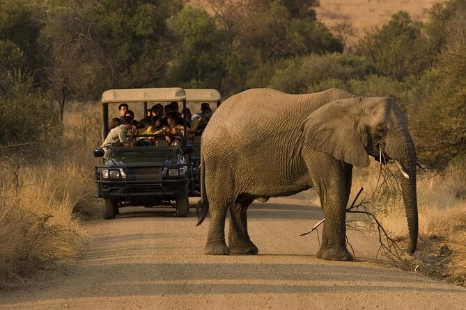 3 Hour Blue Canyon Private Reserve Game Drive - Inclusions and Operator