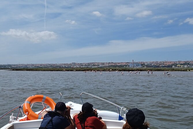 3-Hour Boat Trip and Birdwatching in the Tagus Estuary - Booking and Pricing Information