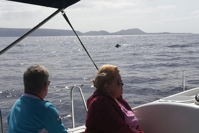 3-Hour Boat Trip From Costa Adeje in Tenerife - Additional Information