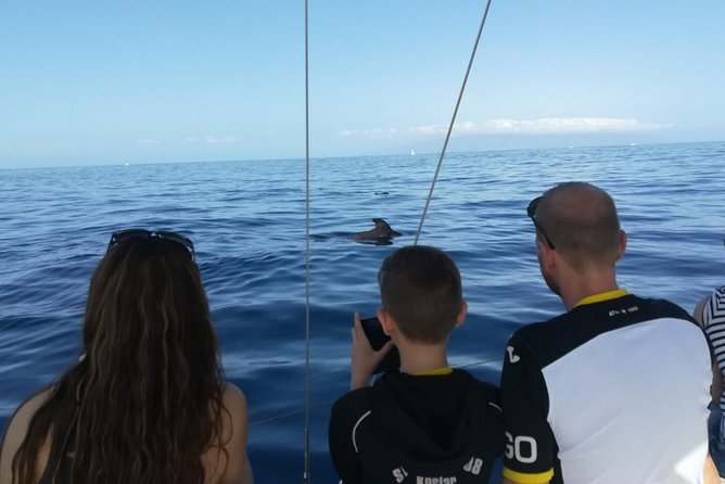 3-Hour Boat Trip From Costa Adeje in Tenerife - Directions