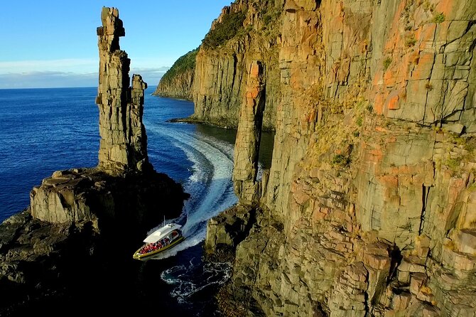 3-Hour Bruny Island Cruise From Adventure Bay, Bruny Island - Overview and Experience